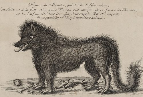 Rycina. Bestia z Gévaudan. Duży, czarny, kudłaty pies.