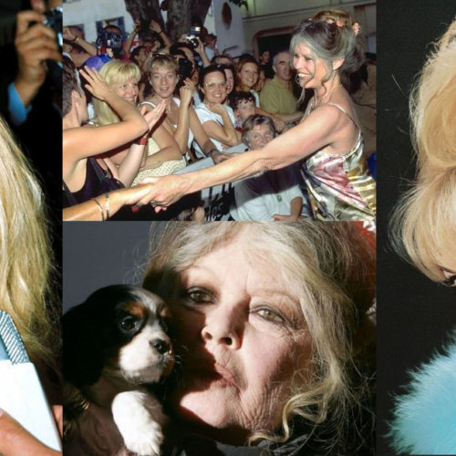 kolaż zdjęcia brigitte bardot